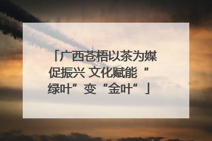 广西苍梧以茶为媒促振兴 文化赋能“绿叶”变“金叶”