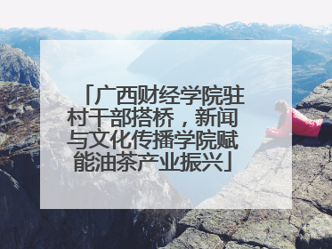 广西财经学院驻村干部搭桥，新闻与文化传播学院赋能油茶产业振兴