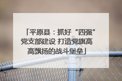 平原县：抓好“四强”党支部建设 打造党旗高高飘扬的战斗堡垒