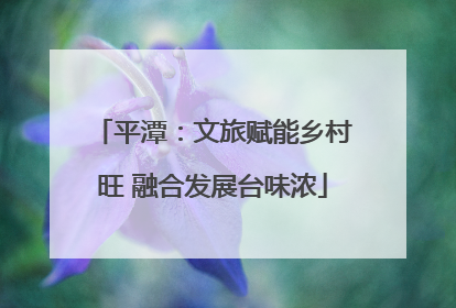 平潭：文旅赋能乡村旺 融合发展台味浓