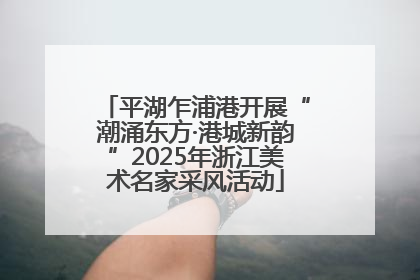 平湖乍浦港开展“潮涌东方·港城新韵”2025年浙江美术名家采风活动