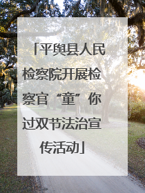 平舆县人民检察院开展检察官“童”你过双节法治宣传活动