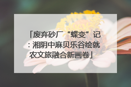 废弃砂厂“蝶变”记：湘阴中麻贝乐谷绘就农文旅融合新画卷