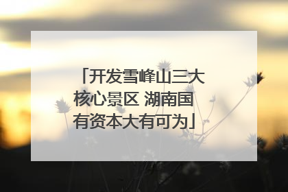 开发雪峰山三大核心景区 湖南国有资本大有可为