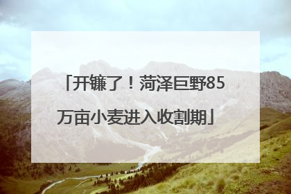 开镰了！菏泽巨野85万亩小麦进入收割期