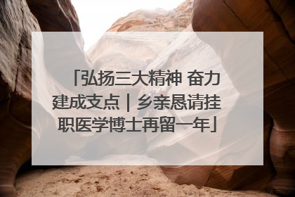 弘扬三大精神 奋力建成支点｜乡亲恳请挂职医学博士再留一年