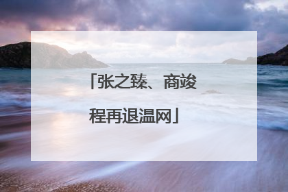 张之臻、商竣程再退温网