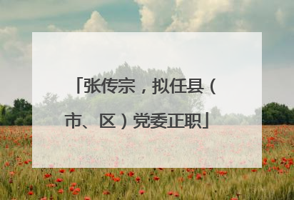 张传宗，拟任县（市、区）党委正职
