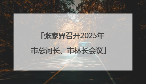 张家界召开2025年市总河长、市林长会议