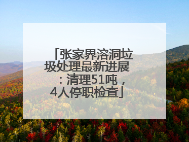 张家界溶洞垃圾处理最新进展：清理51吨，4人停职检查