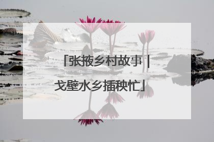张掖乡村故事｜戈壁水乡插秧忙