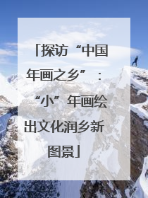 探访“中国年画之乡”：“小”年画绘出文化润乡新图景