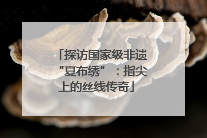 探访国家级非遗“夏布绣”：指尖上的丝线传奇