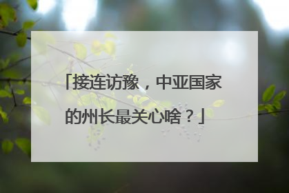 接连访豫，中亚国家的州长最关心啥？