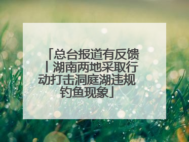 总台报道有反馈丨湖南两地采取行动打击洞庭湖违规钓鱼现象
