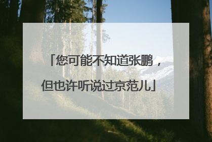 您可能不知道张鹏，但也许听说过京范儿