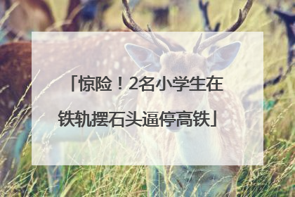 惊险！2名小学生在铁轨摆石头逼停高铁