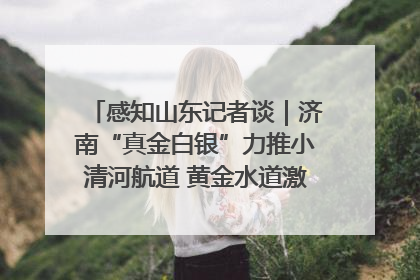 感知山东记者谈｜济南“真金白银”力推小清河航道 黄金水道激活区域经济新动能