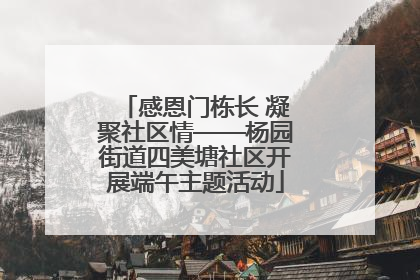 感恩门栋长 凝聚社区情——杨园街道四美塘社区开展端午主题活动