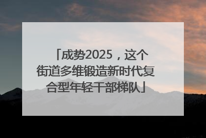 成势2025，这个街道多维锻造新时代复合型年轻干部梯队