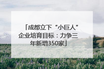 成都立下“小巨人”企业培育目标：力争三年新增350家