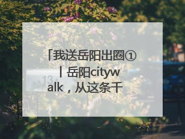 我送岳阳出圈①丨岳阳citywalk，从这条千年老街开始！