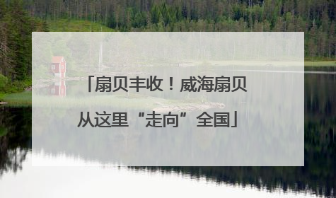 扇贝丰收！威海扇贝从这里“走向”全国