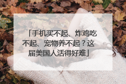 手机买不起、炸鸡吃不起、宠物养不起？这届美国人活得好难