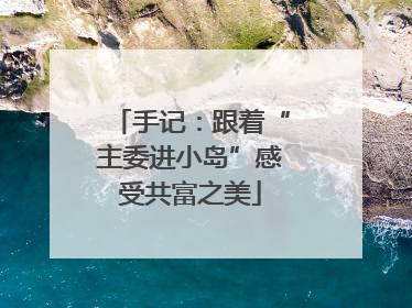 手记：跟着“主委进小岛”感受共富之美