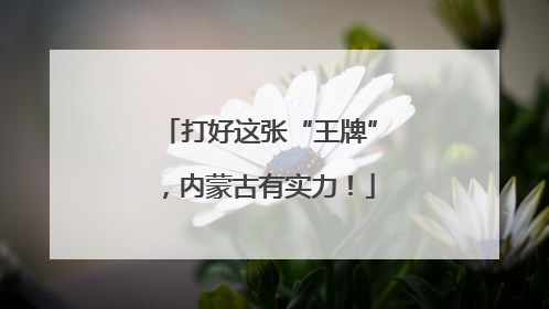 打好这张“王牌”，内蒙古有实力！