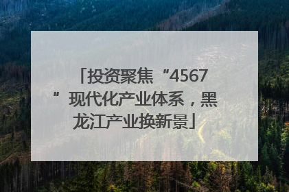 投资聚焦“4567”现代化产业体系，黑龙江产业换新景