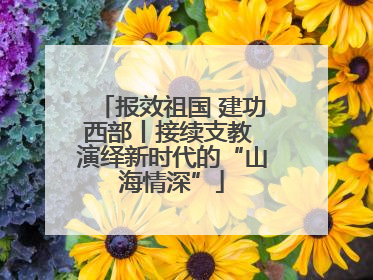 报效祖国 建功西部丨接续支教 演绎新时代的“山海情深”