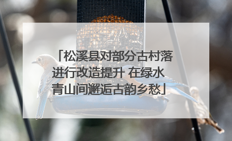 松溪县对部分古村落进行改造提升 在绿水青山间邂逅古韵乡愁