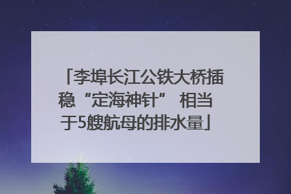 李埠长江公铁大桥插稳“定海神针” 相当于5艘航母的排水量