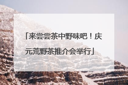 来尝尝茶中野味吧！庆元荒野茶推介会举行