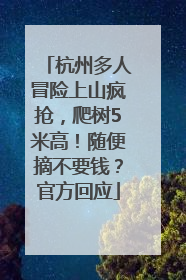 杭州多人冒险上山疯抢，爬树5米高！随便摘不要钱？官方回应