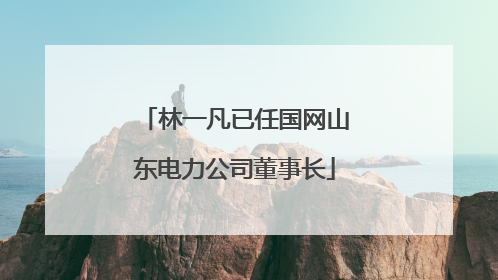 林一凡已任国网山东电力公司董事长