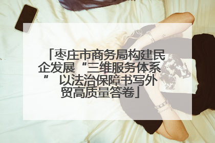 枣庄市商务局构建民企发展“三维服务体系” 以法治保障书写外贸高质量答卷