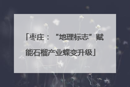 枣庄：“地理标志”赋能石榴产业蝶变升级