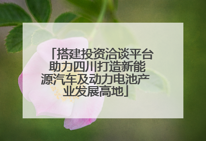 搭建投资洽谈平台 助力四川打造新能源汽车及动力电池产业发展高地