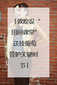 敦煌设“田间课堂” 送技葡萄管护关键时节