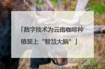 数字技术为云南咖啡种植装上“智慧大脑”