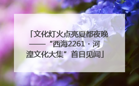 文化灯火点亮夏都夜晚——“西海2261・河湟文化大集”首日见闻