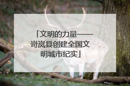 文明的力量——岢岚县创建全国文明城市纪实