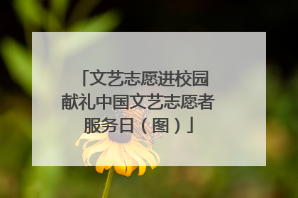 文艺志愿进校园 献礼中国文艺志愿者服务日（图）