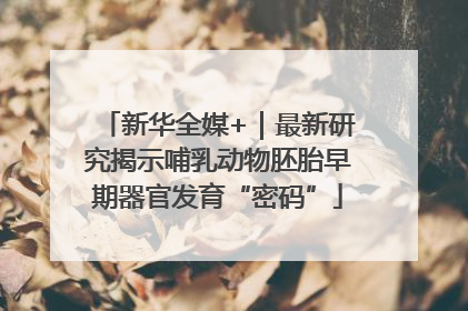 新华全媒+｜最新研究揭示哺乳动物胚胎早期器官发育“密码”