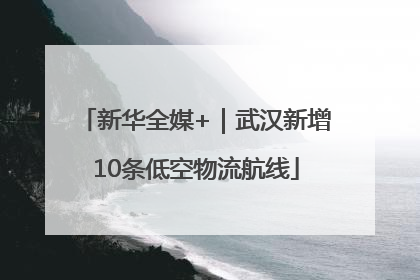 新华全媒+｜武汉新增10条低空物流航线