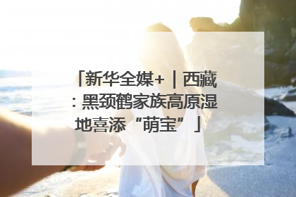 新华全媒+｜西藏：黑颈鹤家族高原湿地喜添“萌宝”