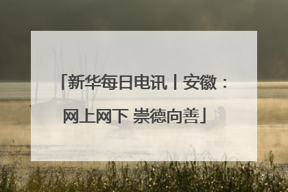 新华每日电讯丨安徽：网上网下 崇德向善