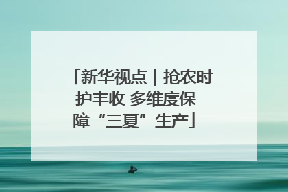 新华视点｜抢农时 护丰收 多维度保障“三夏”生产